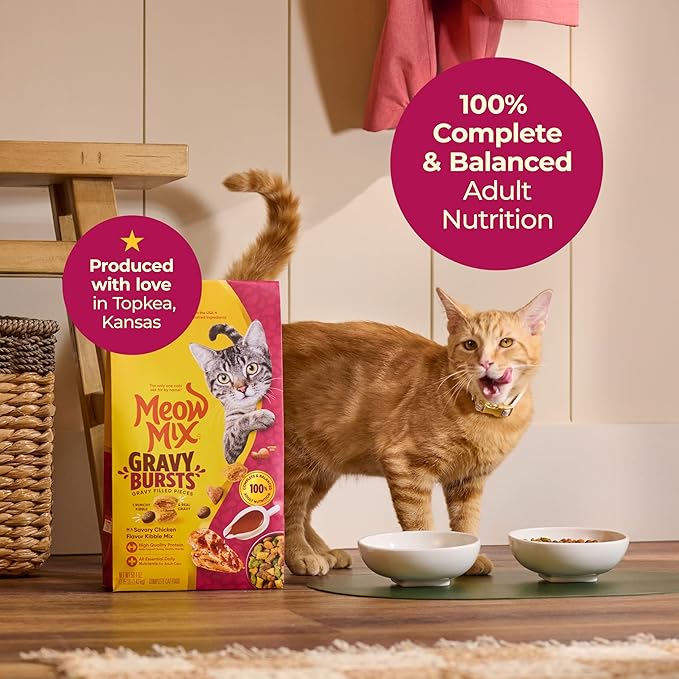 Meow Mix Gravy Bursts Dry Cat Food, Chicken, 3 LB Bag